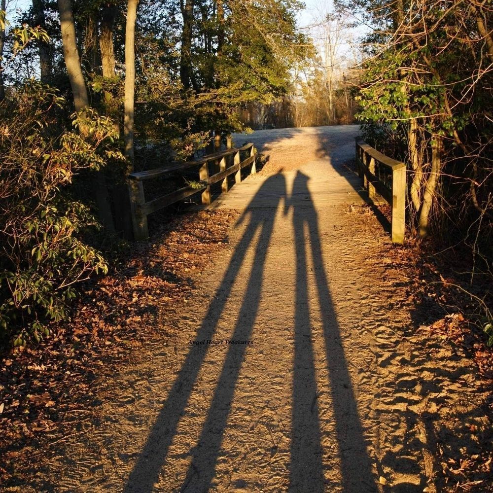 5x7 Original Photography Best Friends Silhouette